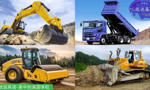 多糖蛋白片说明书图片-多糖蛋白片的功效与作用副作用是什么专区_多糖蛋白片的副作用和危害专区_多糖蛋白片的功效与作用网